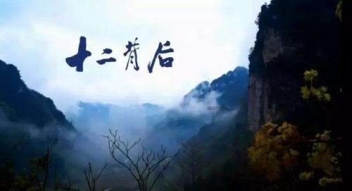 香菇飘香采收忙